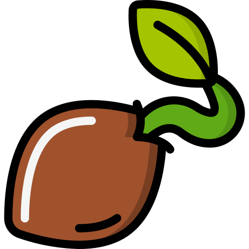 Seeds & Seeding (বীজ ও চারা)